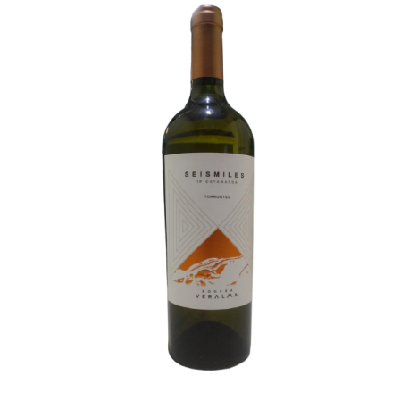 6MILES TORRONTES X750