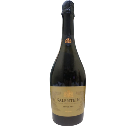 CHAMP SALENTEIN EX-BRUT 1X750