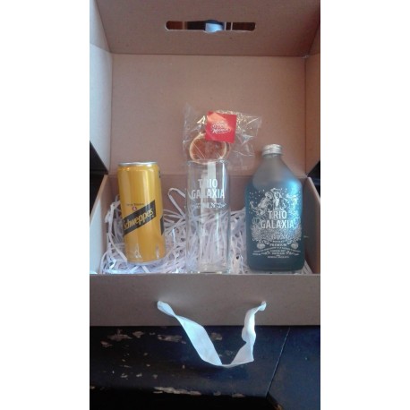 EST. GIN TRIO BOX X500L