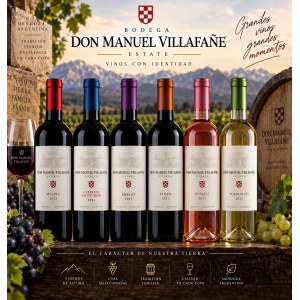 D MANUEL VILLAFANE RVA MALBEC 750
