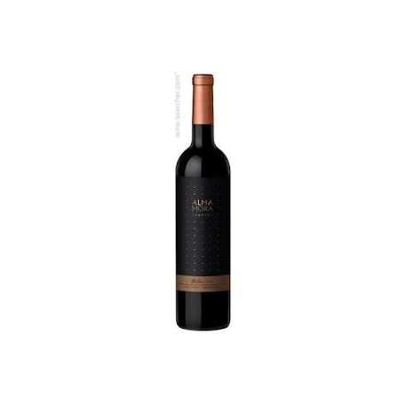 ALMA MORA RESERVA MALBEC 1X750