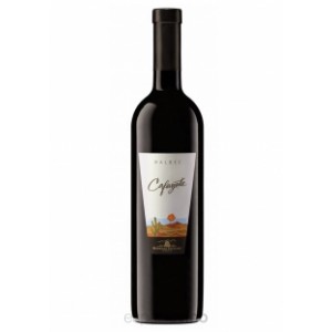 CAFAYATE MALBEC 1X750