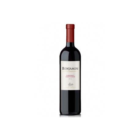 BENJAMIN N S CABERNET 1X750