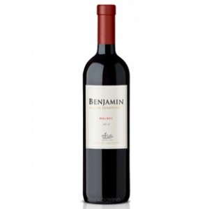 BENJAMIN N S MALBEC 1X750