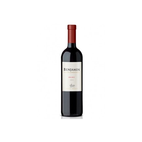 BENJAMIN N S MALBEC 1X750