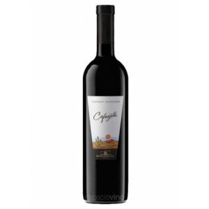 CAFAYATE CABER SAUV. 1X750