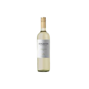 BENJAMIN N S TORRONTES 1X750