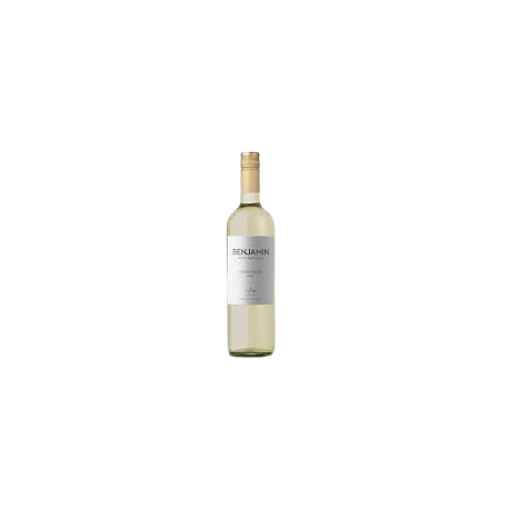 BENJAMIN N S TORRONTES 1X750