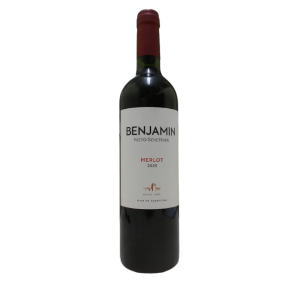 BENJAMIN N S MERLOT 1X750