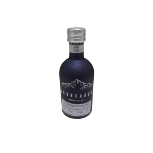 MINIATURA GIN ACONCAGUA X50